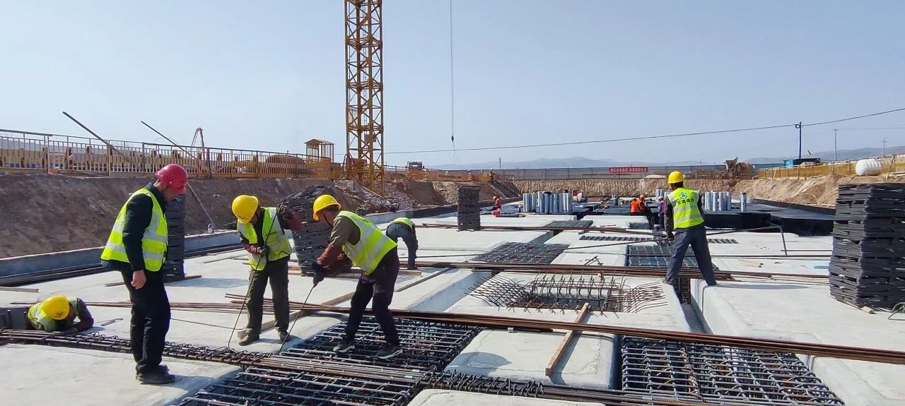 202503271743039824461378.jpg 0dbe973443c16f21f0785c71c0daaec1.jpg