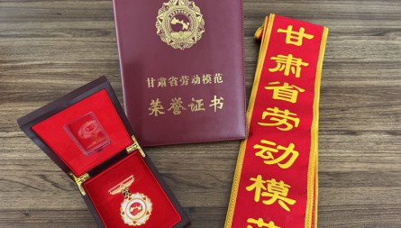 甘肅物流集團(tuán)吳消滔同志獲評“甘肅省勞動(dòng)模范”